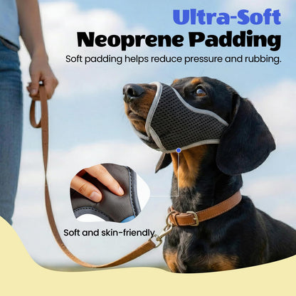 One. Chosen for real quality, fits naturally into modern pet homes.