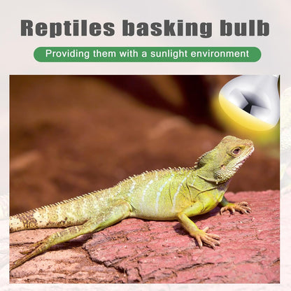 VIHOSE 2 Pack 250 Watt Heat Lamp 120v R40 Heat Lamp Bulbs Glass Incandescent Light Bulbs Incandescent Heating Lightbulbs for Reptiles Chicks Food Puppies Bathroom, Use E26 Base (Silver)