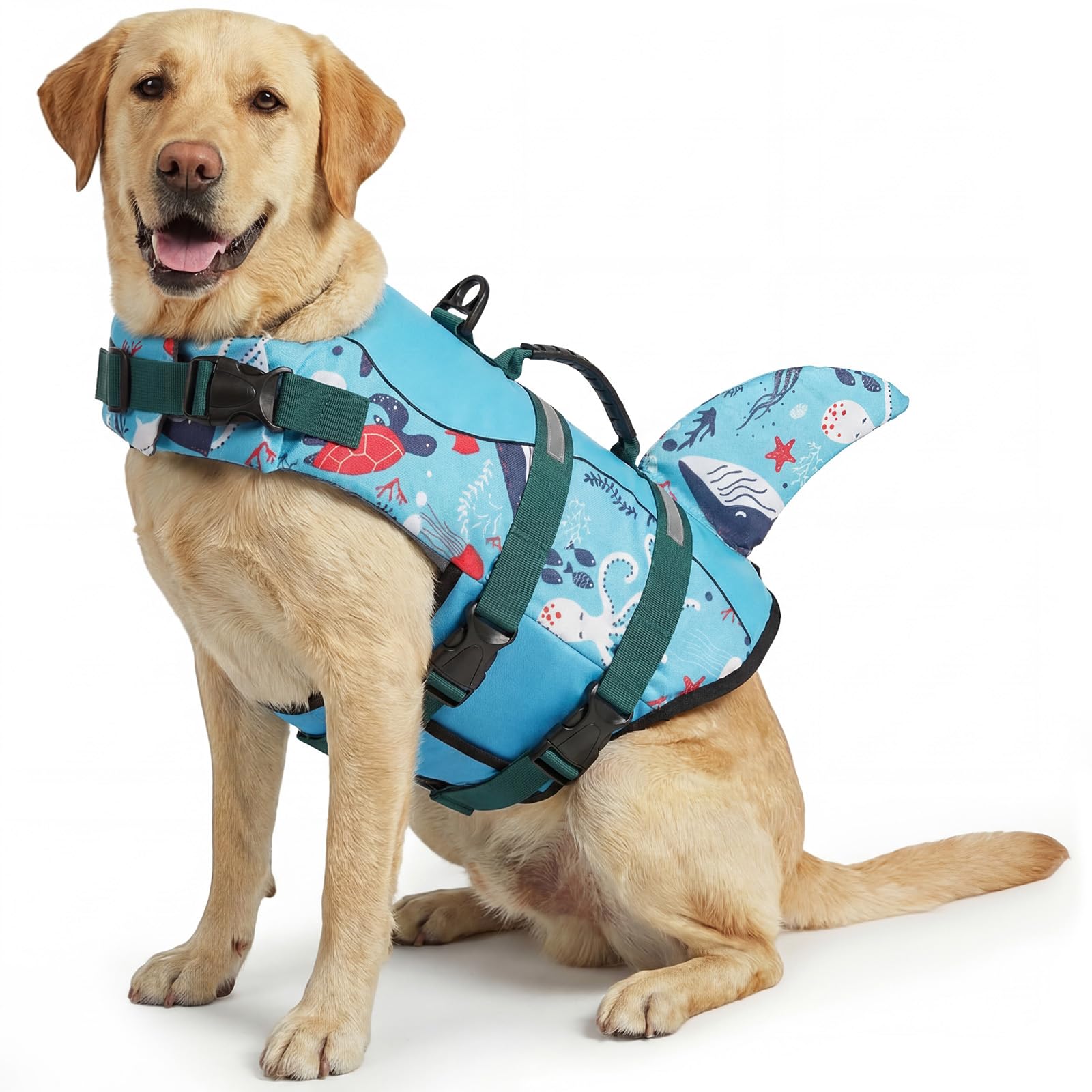 ASENKU Dog Life Jacket. Chosen for real quality, fits naturally into modern pet homes.