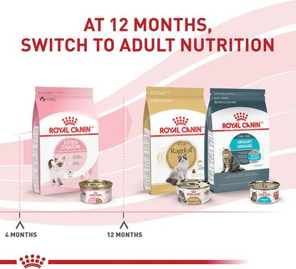 Royal Canin Feline Health Nutrition Kitten Thin Slices in Gravy Canned Cat Food, 3 oz., Count of 24