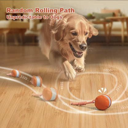 QGI Interactive Dog Ball. Chosen for real quality, fits naturally into modern pet homes.