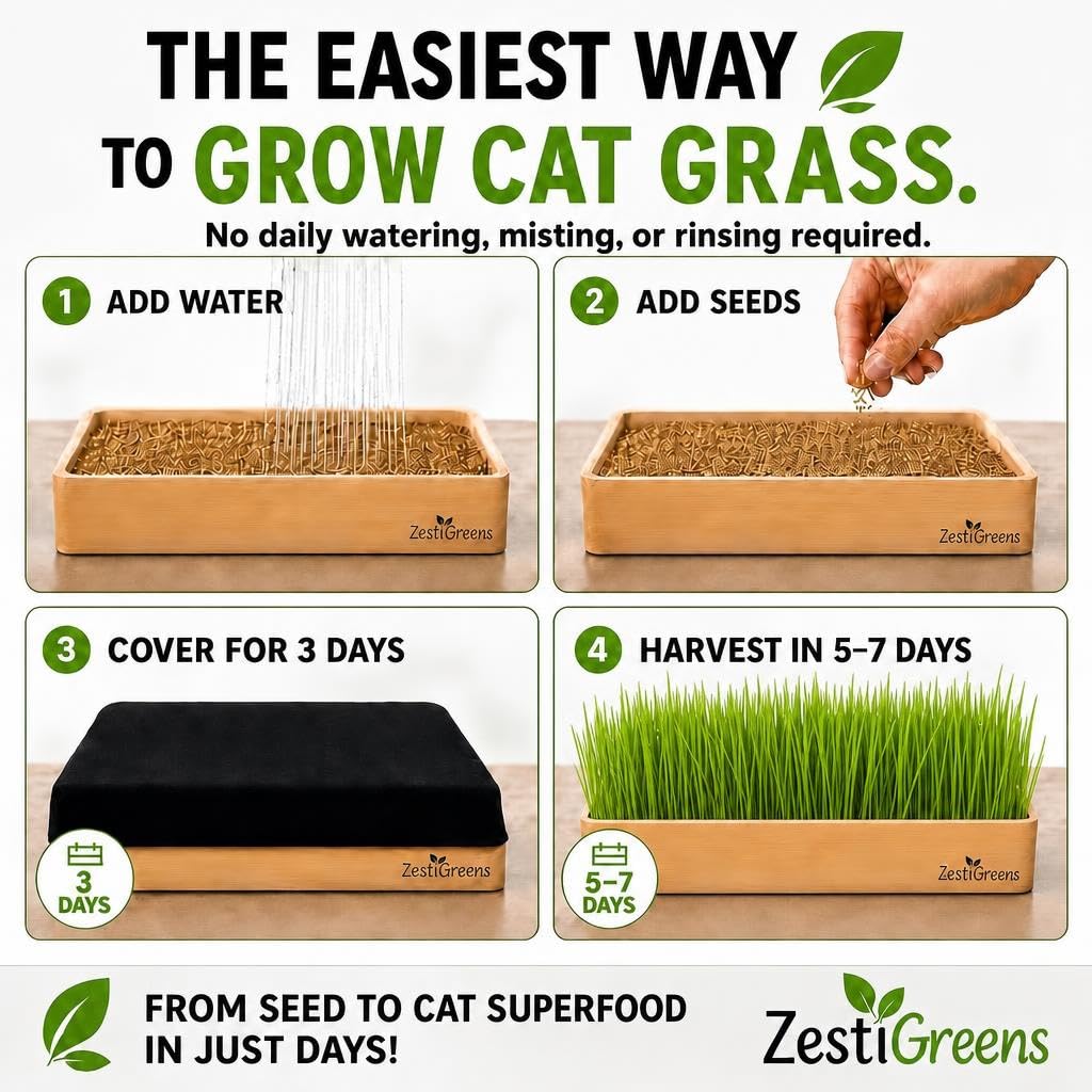 Cat Grass for Indoor Cats. Chosen for real quality, fits naturally into modern pet homes.