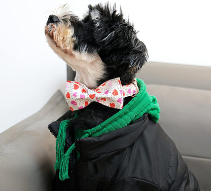 Lionet Paws Valentines Day Dog Collar with Bowtie, Dog Bowtie Collar with Metal Buckle for Dogs and Cats, Adjustable Comfortable Dog Collar Girl Boy Gift, XS, Neck 8-12 in