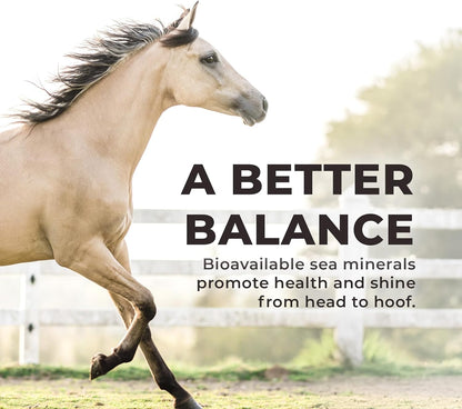 Daily Red Complete Wellness, Fortified Mineral Mix Supplement for Horses, 25lb Bucket