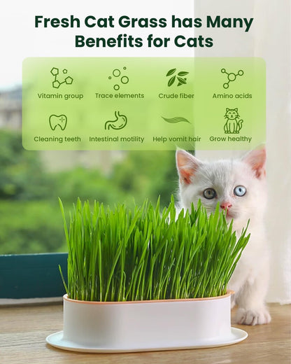 Cat Grass for Indoor Cats. Chosen for real quality, fits naturally into modern pet homes.