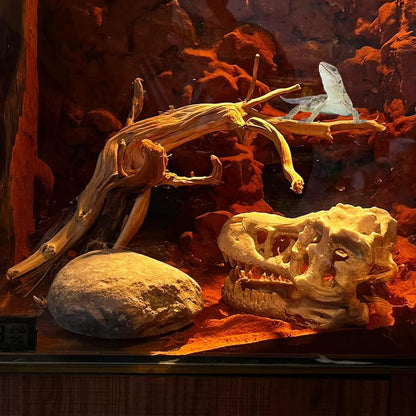 BNOSDM 2PCS Reptile Wood Branches Decor Lizard Habitat Decoration Snake Climbing Branch Accessories Terrarium Tree Trunk Ornament for Bearded Dragon Gecko Frog Chameleon Spider