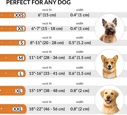 CollarDirect Rolled Leather Dog Collar, Soft Padded Round Puppy Collar, Handmade Genuine Leather Collar Dog Small Large Cat Collars 13 Colors (15-19 Inch, Orange Textured)