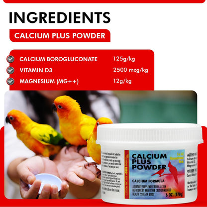 Morning Bird Calcium Plus Powder for Birds 6 oz – Calcium Carbonate Powder with Magnesium Glycinate & Vitamin D – Bone Strength & Immune Support Supplement – Calcium Formula for All Bird Sizes