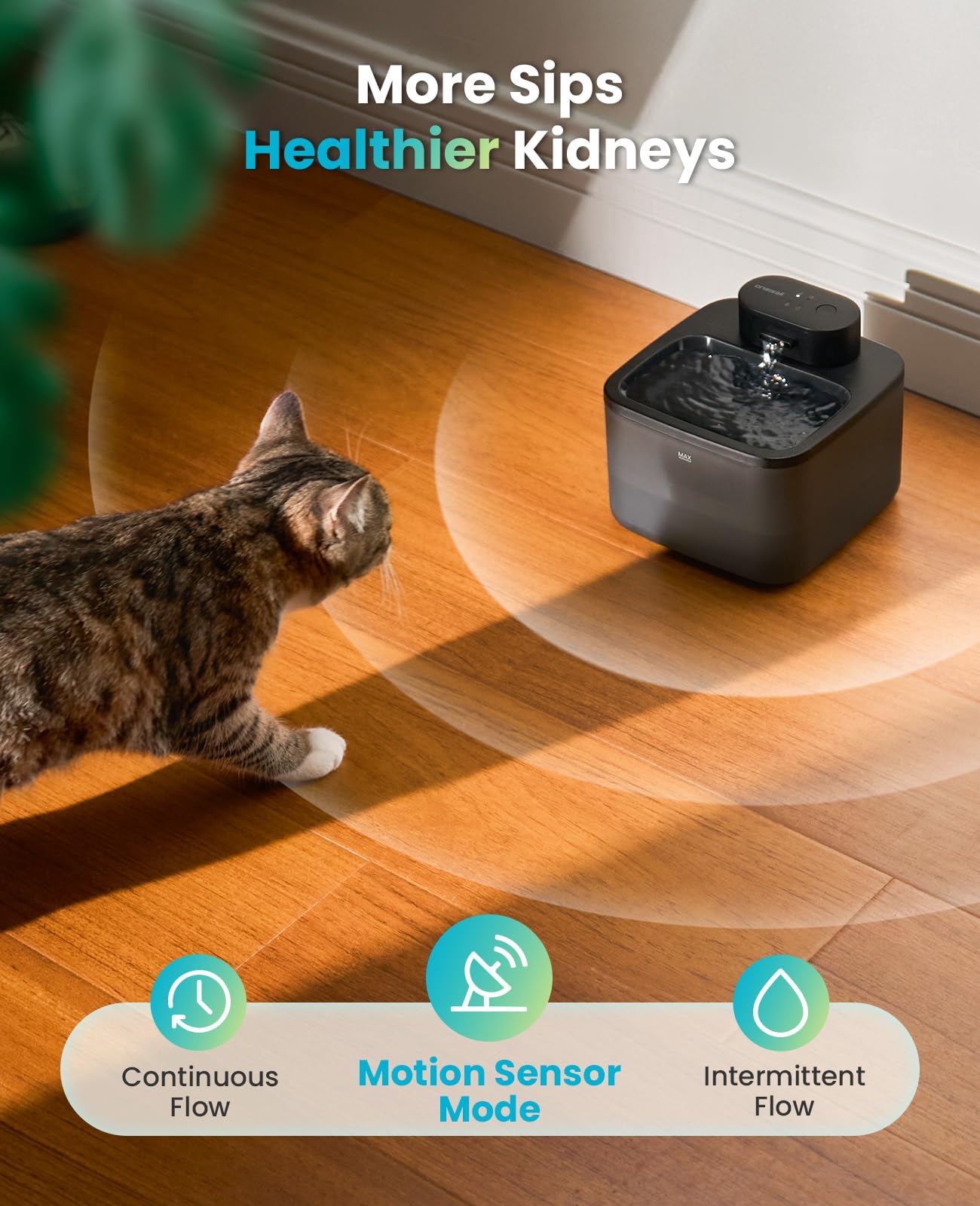 oneisall 2.2L/74oz Wireless Cat Water Fountain. Chosen for real quality, fits naturally into modern