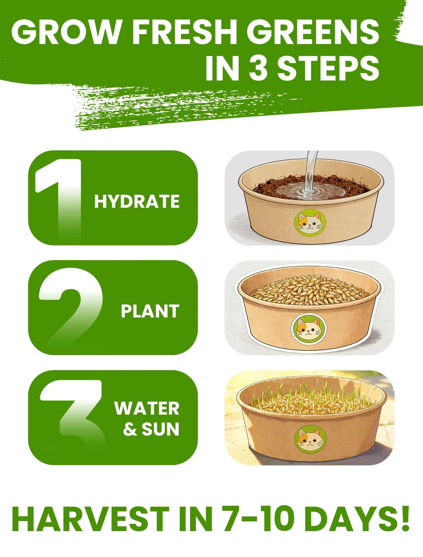 Cat Grass Kit for Indoor Cats. Chosen for real quality, fits naturally into modern pet homes.