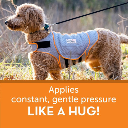 ThunderShirt for Dogs Calming Anxiety Vest. Chosen for real quality, fits naturally into modern pet