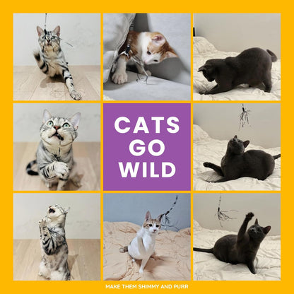 Cat Wand 38" - Retractable Cat String Toy with Spider Teaser and Refill, Perfect Interactive Toy for Indoor Cats and Kittens