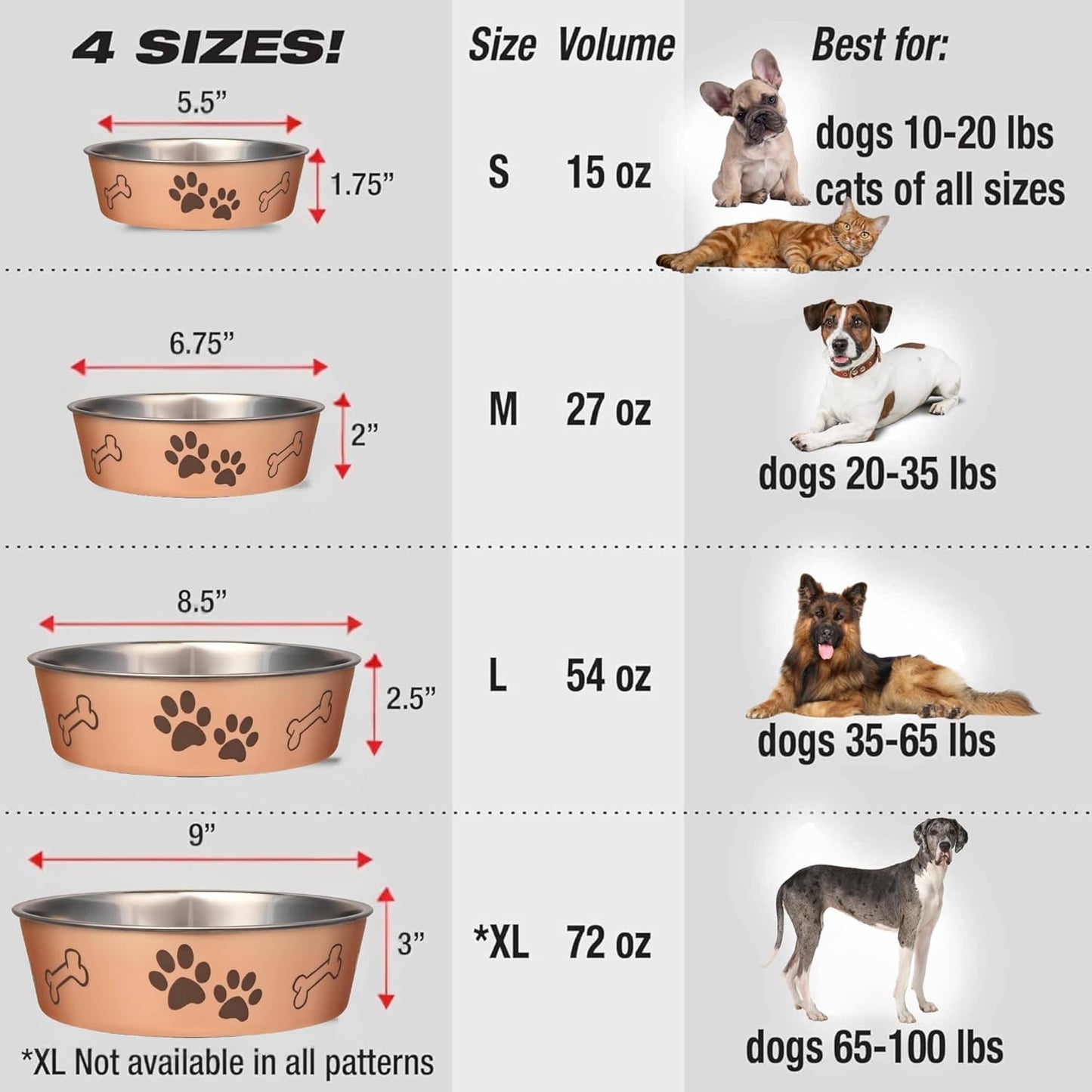 Loving Pets Bella Dog Bowls- Stainless Steel Dog & Cat Bowls - Spill Proof Dog Food Bowl, Cat Bowl, Puppy Essentials & Pet Supplies Great for Home & Travel (Medium 20-25 lbs, Champagne)