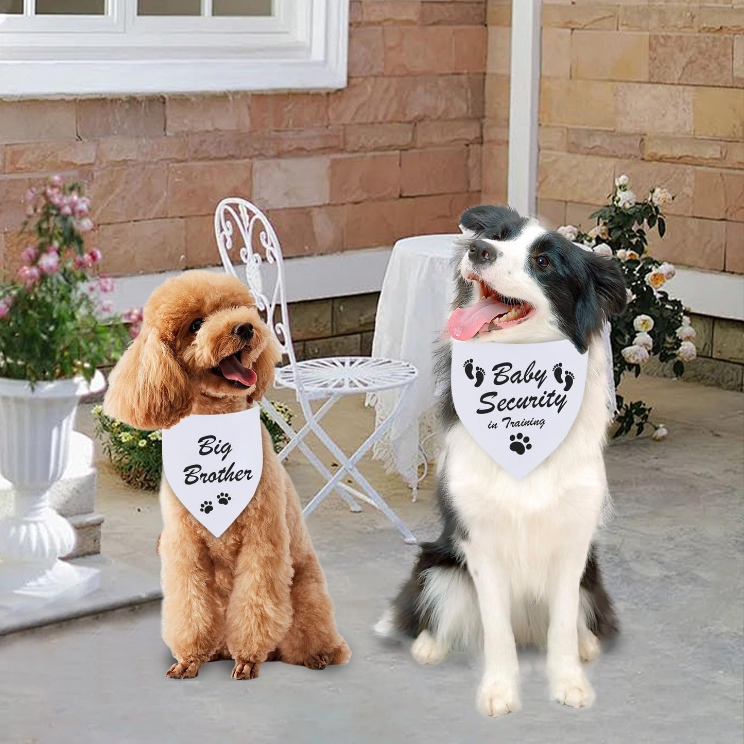 Agroon Blank Dog Bandana White XLarge 1PCS. Chosen for real quality, fits naturally into modern pet