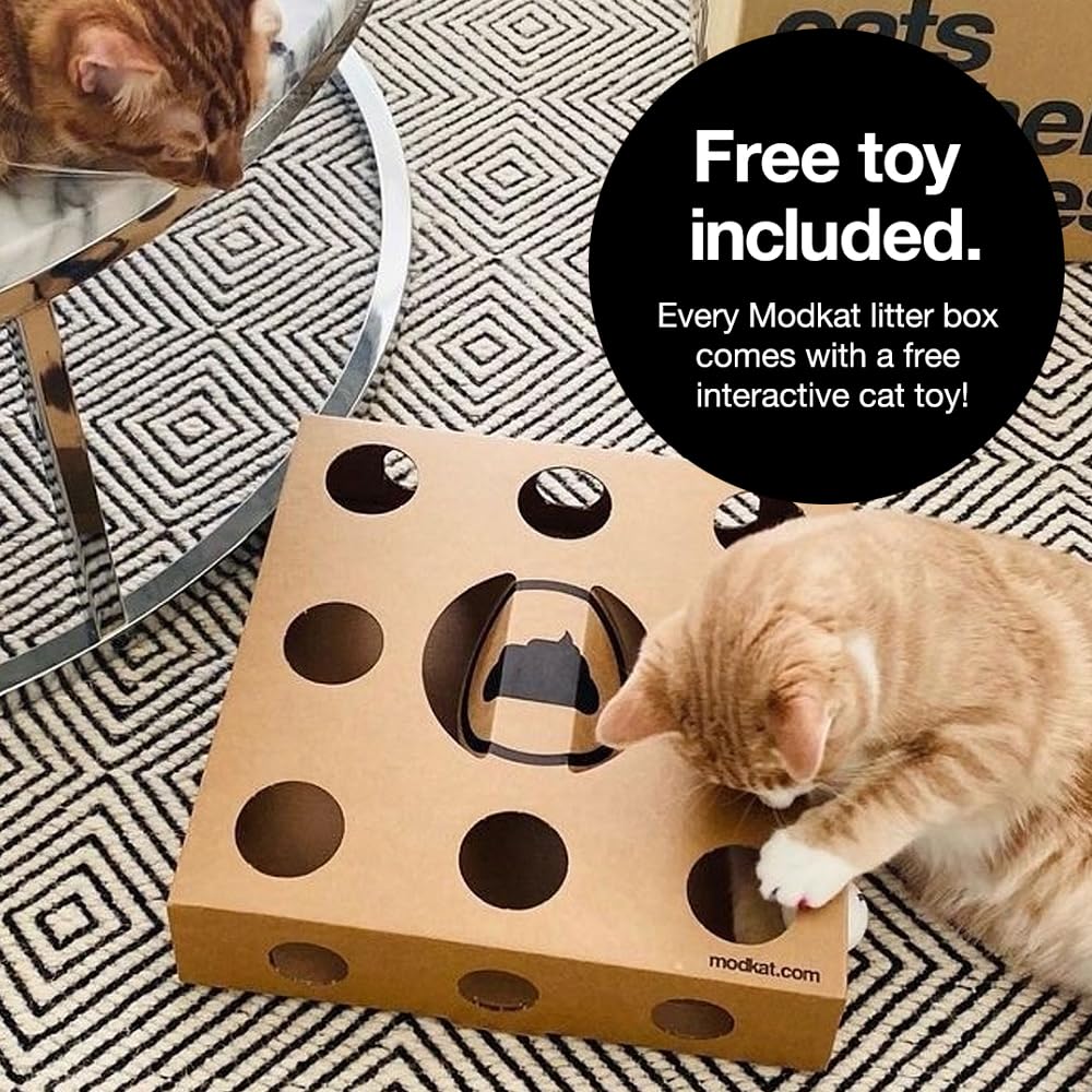 Modkat Top. Chosen for real quality, fits naturally into modern pet homes.