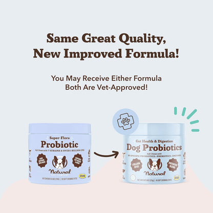 Natural Dog Company Gut Health & Probiotic Chews for Dogs (45 Ct), Prebiotics, Digestive Enzymes & Canine Specific Probiotics for Digestion, Gas, Loose Stool & Immune System Support, 1 Chew Daily