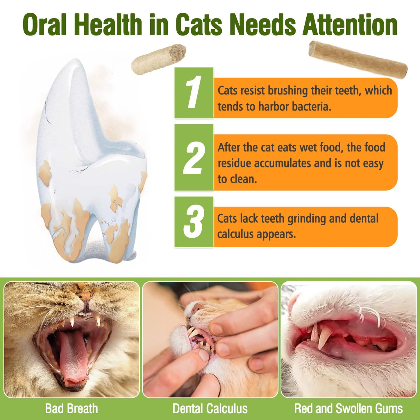 Puxulyiz Freezed Dried Cat Chew Sticks. Chosen for real quality, fits naturally into modern pet