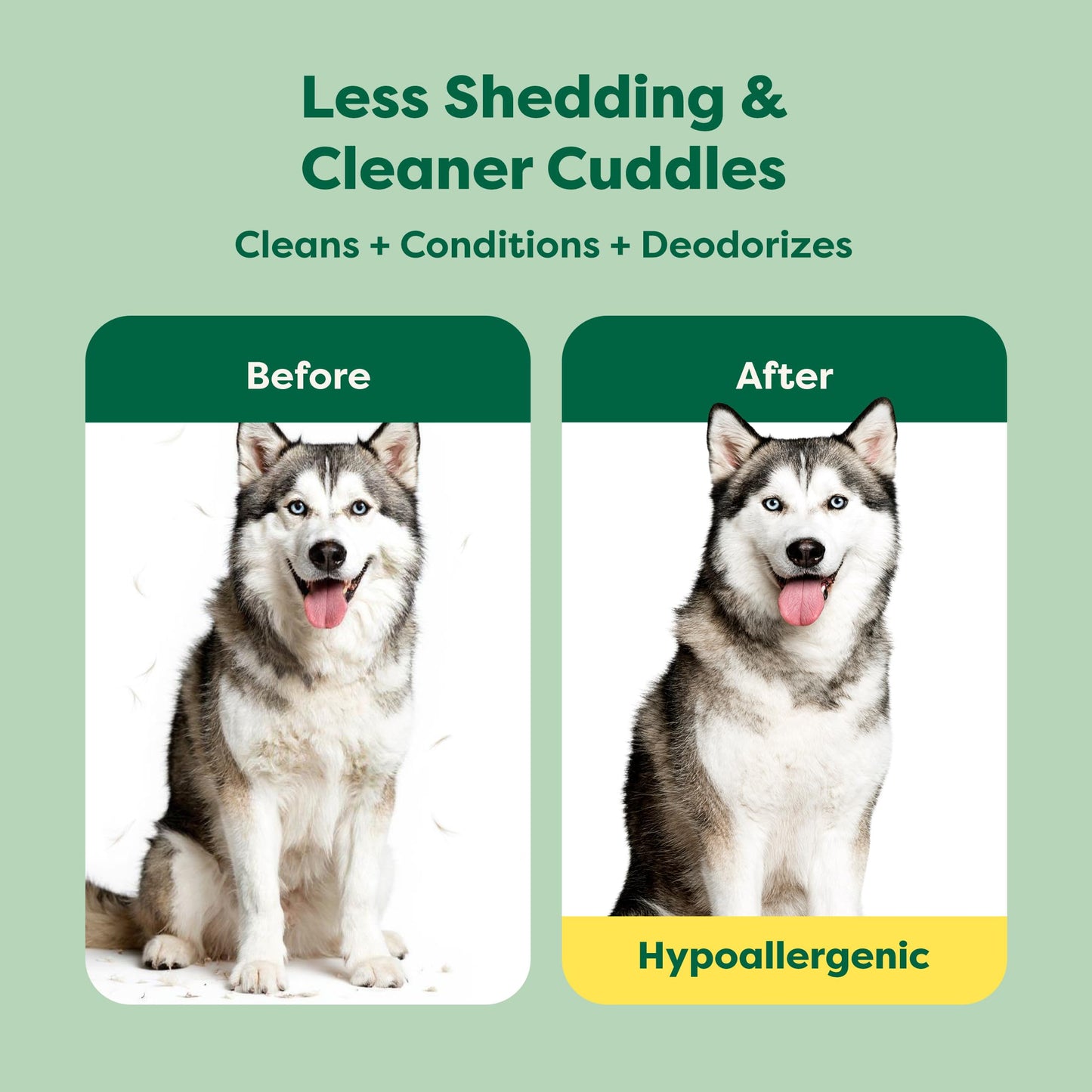 Earth Rated Deshedding Hypoallergenic Dog Shampoo &. Chosen for real quality, fits naturally into