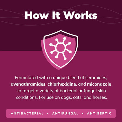 CeraSoothe® CHX+MC Antiseptic Shampoo 8oz