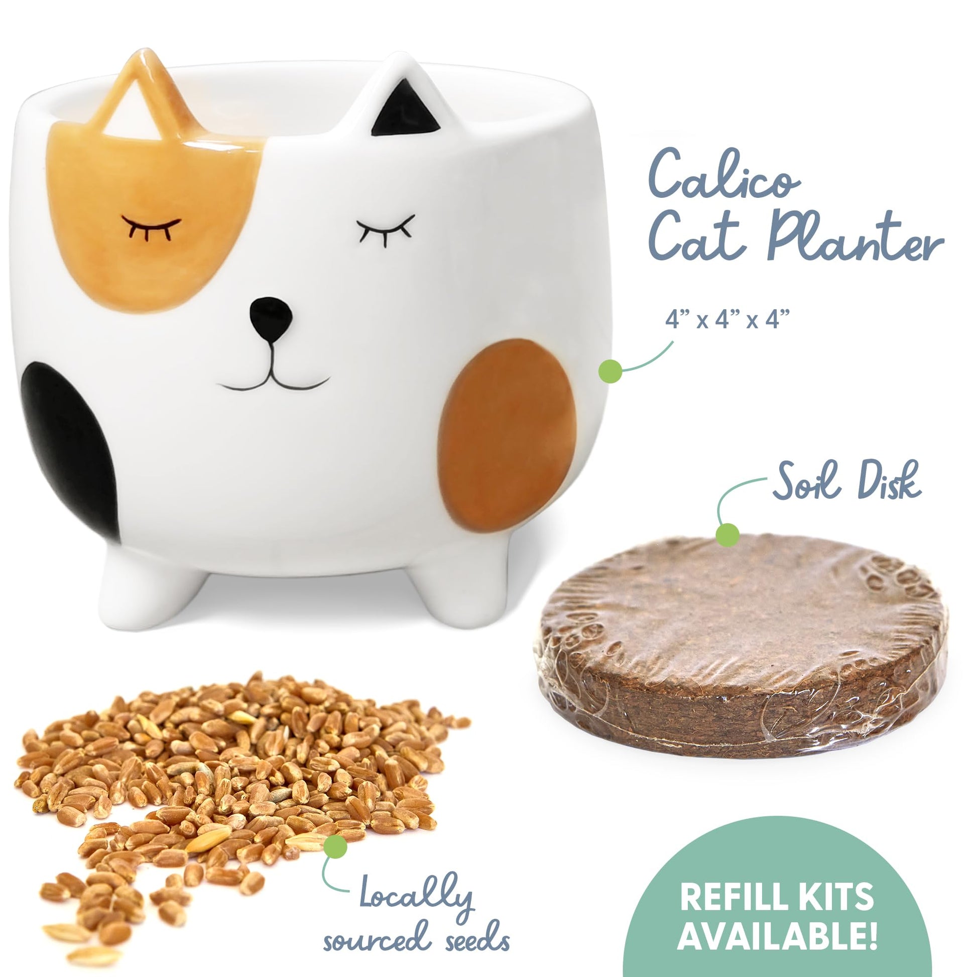 The Cat Ladies Cat Grass for Indoor Cats. Chosen for real quality, fits naturally into modern pet