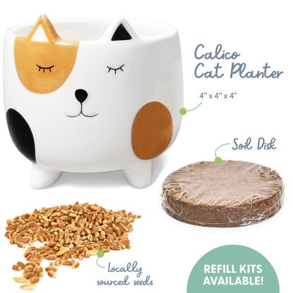 The Cat Ladies Cat Grass for Indoor Cats. Chosen for real quality, fits naturally into modern pet