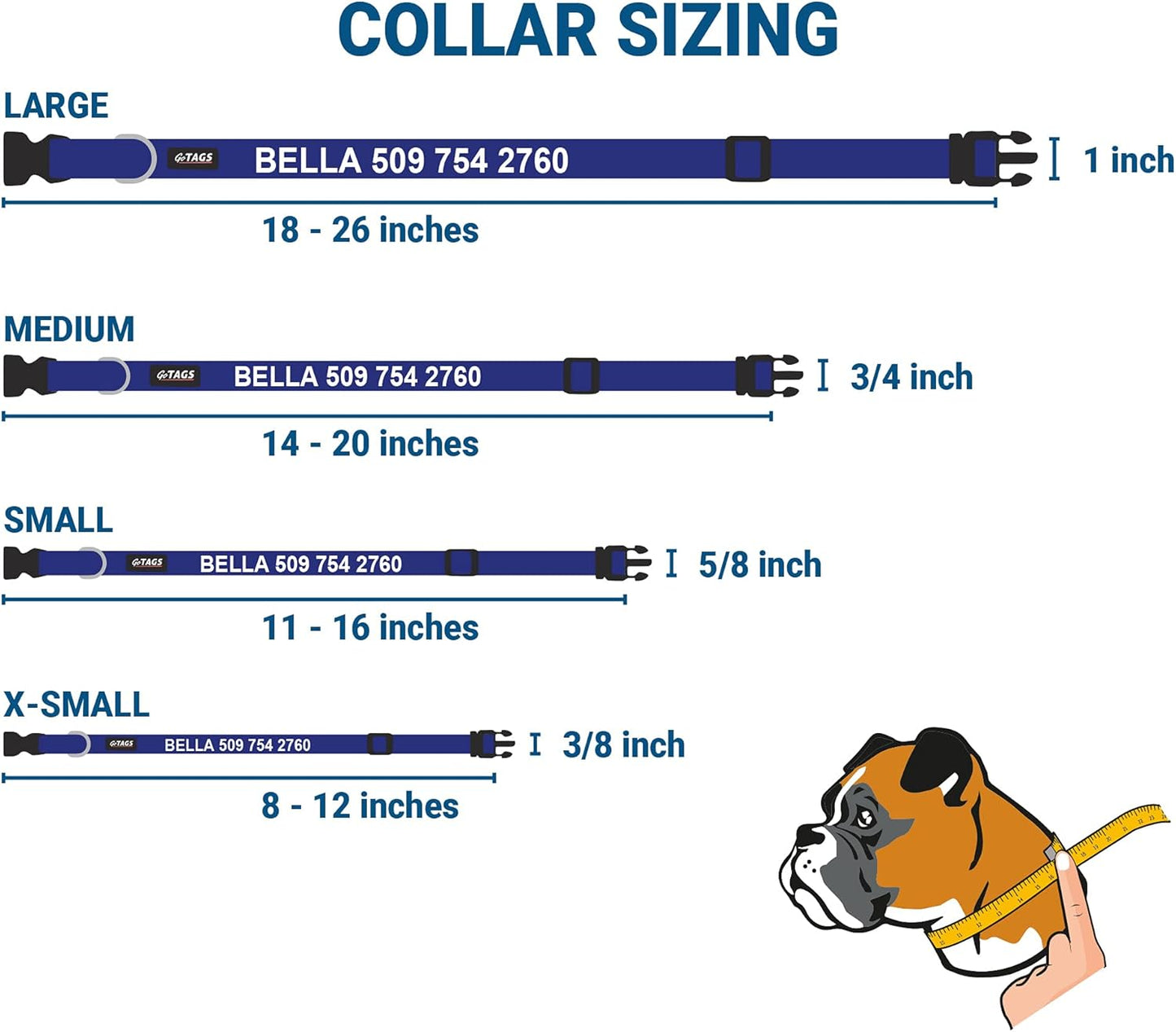 GoTags Personalized Dog Collar with Nameplate, Adjustable Dog Collar with Custom Engraved Slide On Pet ID Tag in Stainless Steel, Silent, No Noise Dog Tag for Large Medium and Small (Blue, Small)