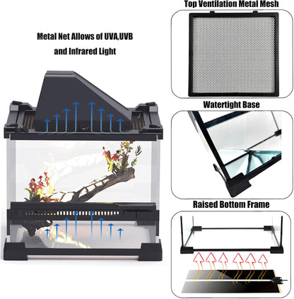 Woyrise Reptile Glass Terrarium Tank 8"x8"x5.7", Front & Top Opening Door Full View Visually Appealing Mini Reptiles or Amphibians Habitat, Stackable Enclousure for Small Reptiles