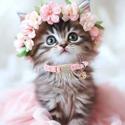 Babole Pet 2 Pack Pink Cat Collars. Chosen for real quality, fits naturally into modern pet homes.