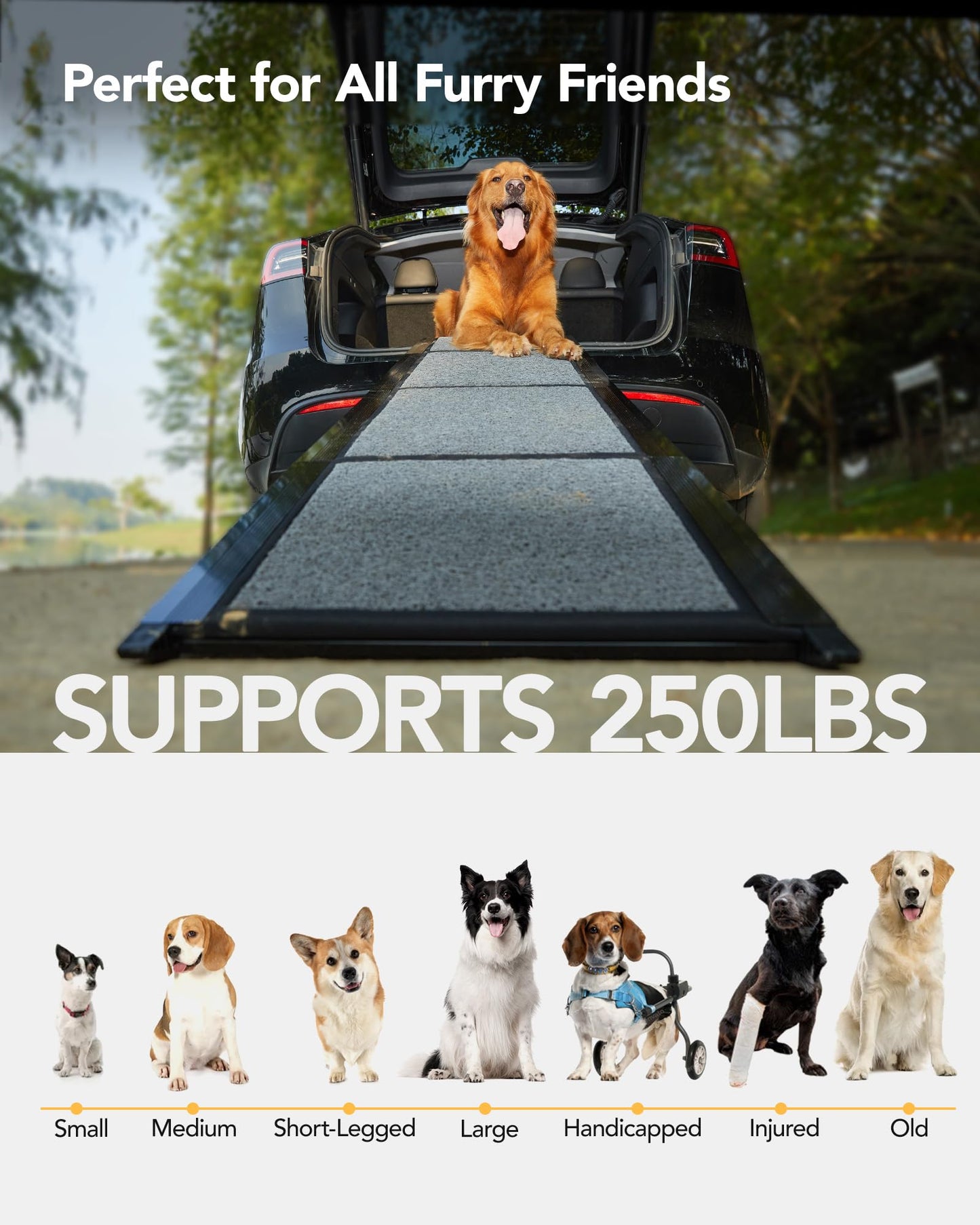PetThem Dog Ramp for Cars. Chosen for real quality, fits naturally into modern pet homes.