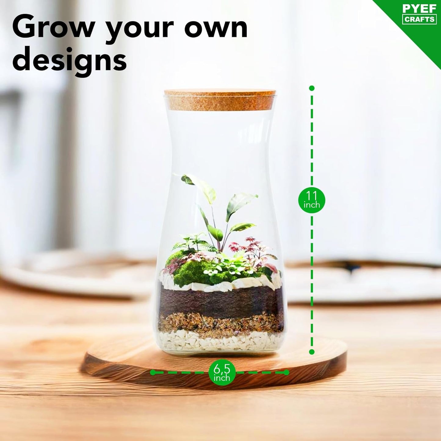 DIY Terrarium Kit for Adults – Build Your Own Self‑Sustaining Closed Ecosystem – 34 fl oz (1‑Liter) Glass Terrarium – Succulents, Air Plants, Fittonia, Fern – Plants Not Included