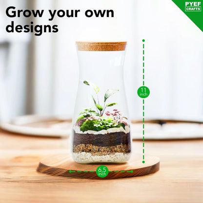 DIY Terrarium Kit for Adults – Build Your Own Self‑Sustaining Closed Ecosystem – 34 fl oz (1‑Liter) Glass Terrarium – Succulents, Air Plants, Fittonia, Fern – Plants Not Included