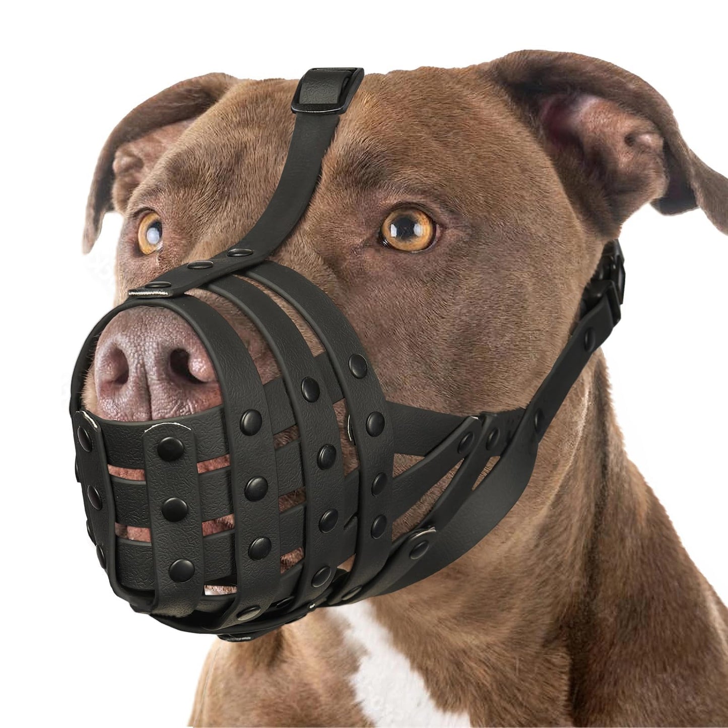 Mayerzon Pitbull Dog Muzzle for Large Medium Dogs. Chosen for real quality, fits naturally into