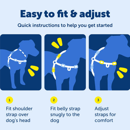 PetSafe Easy Walk Harness. Chosen for real quality, fits naturally into modern pet homes.