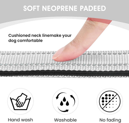 Reflective Dog Collar Padded with Soft Neoprene Breathable Quick Release Basic Dog Collars for Small Dogs Girl Boy Silver