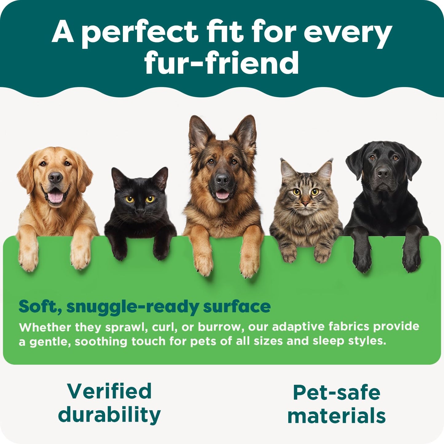 FurHaven Soft. Chosen for real quality, fits naturally into modern pet homes.