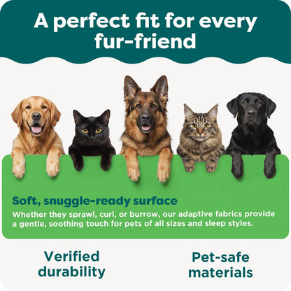 FurHaven Soft. Chosen for real quality, fits naturally into modern pet homes.