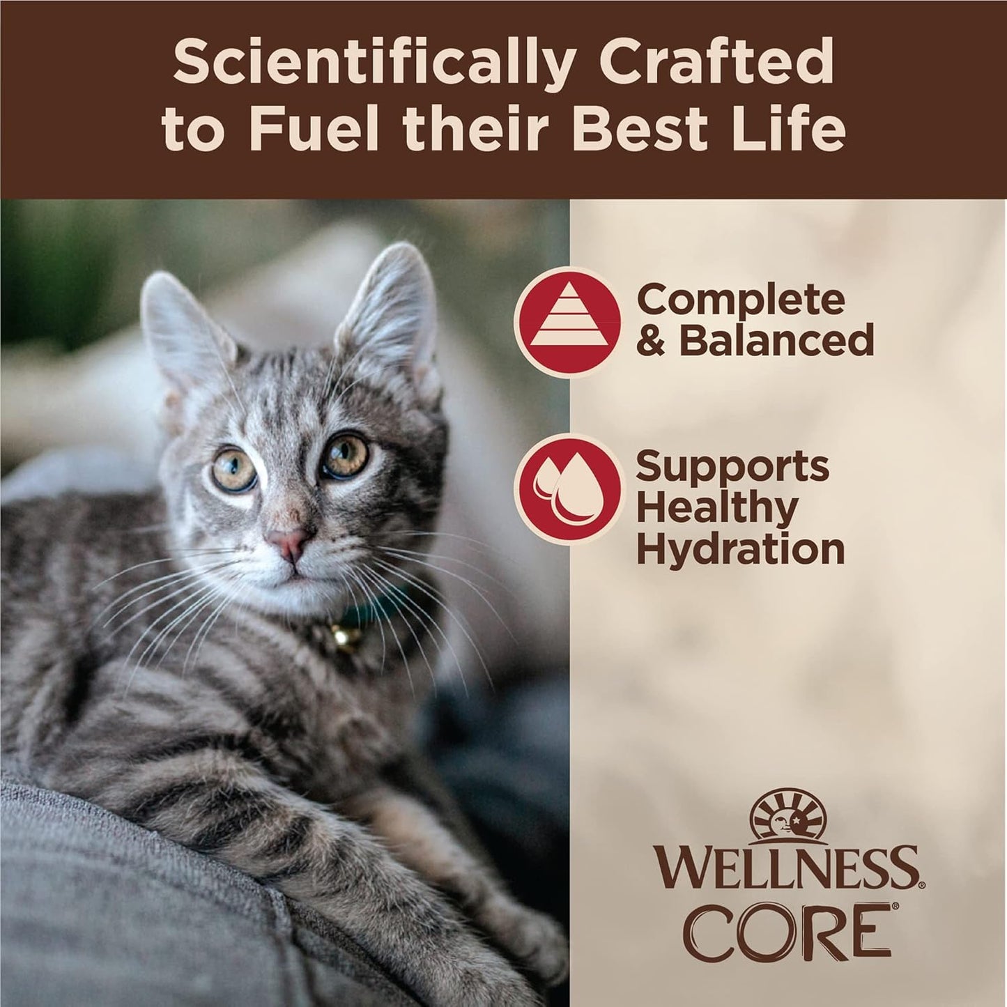 Wellness CORE Tiny Tasters Minced Adult Wet Cat Food, Natural, Protein-Rich, Grain Free, 1.75-Ounce Pouch, 12 Pack, (Chicken & Beef)