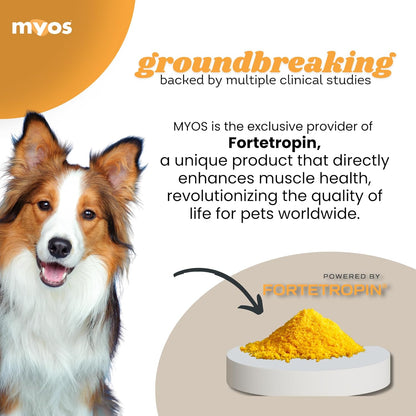 MYOS Canine Muscle Formula - All-Natural Muscle Building Supplement - Helps Reduce Muscle Loss in Aging Dogs and Improve Recovery from Injury or Surgery