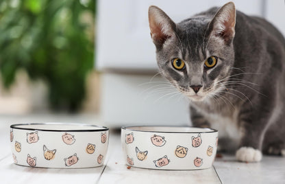 Pearhead Ceramic Cat Bowl. Chosen for real quality, fits naturally into modern pet homes.