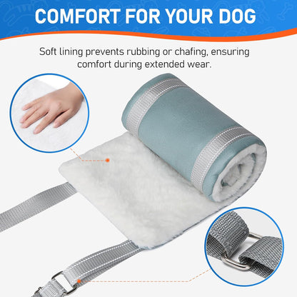 Dog Lift Harness for Extra Large Dogs, Adjustable Dog Sling for Back Legs, Hip Support Harness to Help Lift Dogs Rear for Canine Aid and Old K9 Cruciate Ligament Rehabilitation - Extra Large, Blue