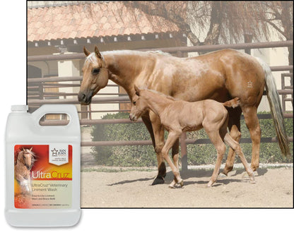 UltraCruz® Veterinary Liniment Wash for Horses, 1 gal Refill