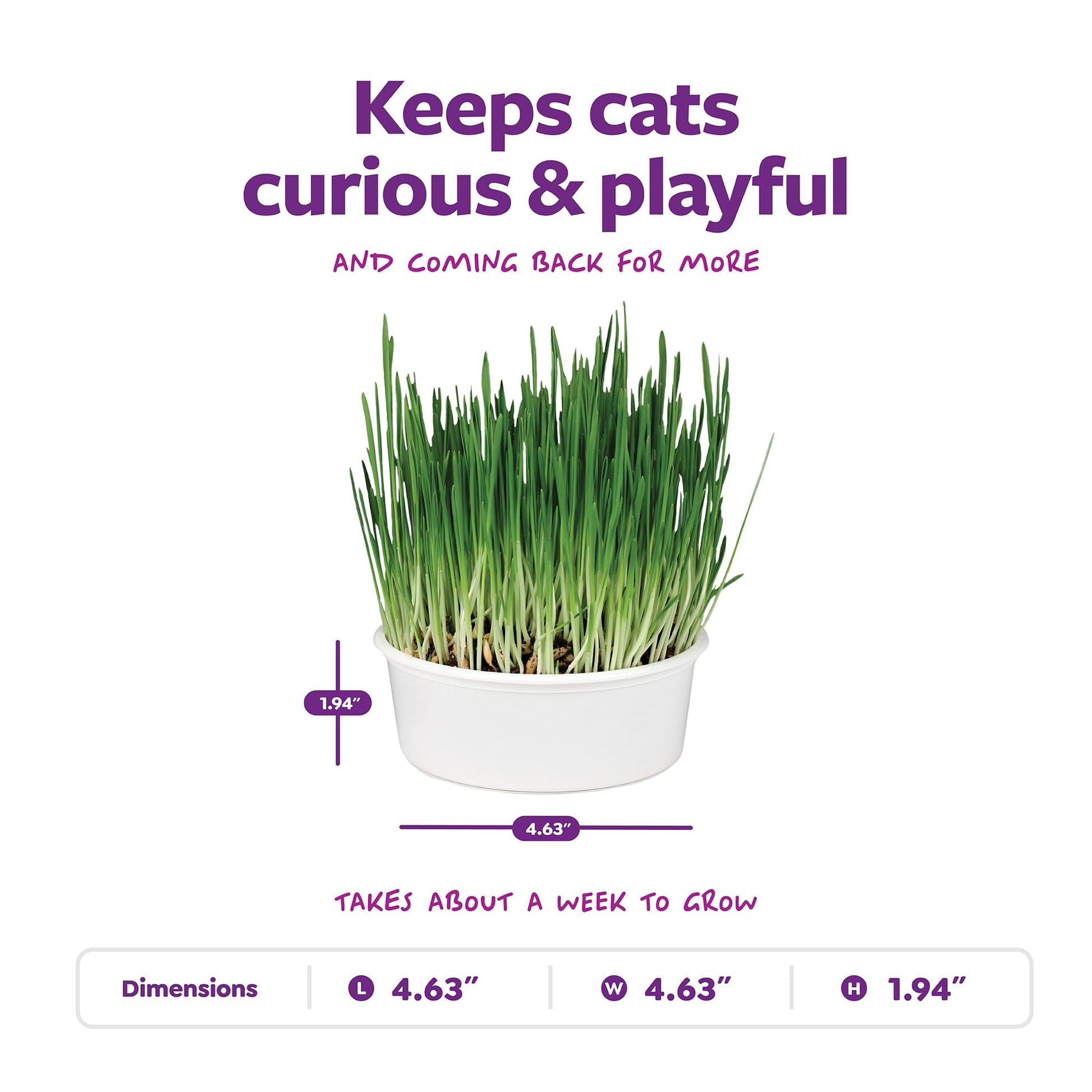 SmartyKat Sweet Greens Organic Oat Grass All. Chosen for real quality, fits naturally into modern