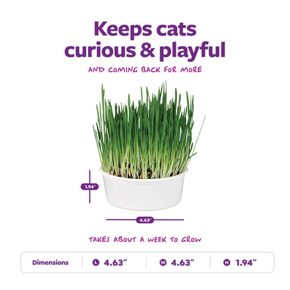 SmartyKat Sweet Greens Organic Oat Grass All. Chosen for real quality, fits naturally into modern