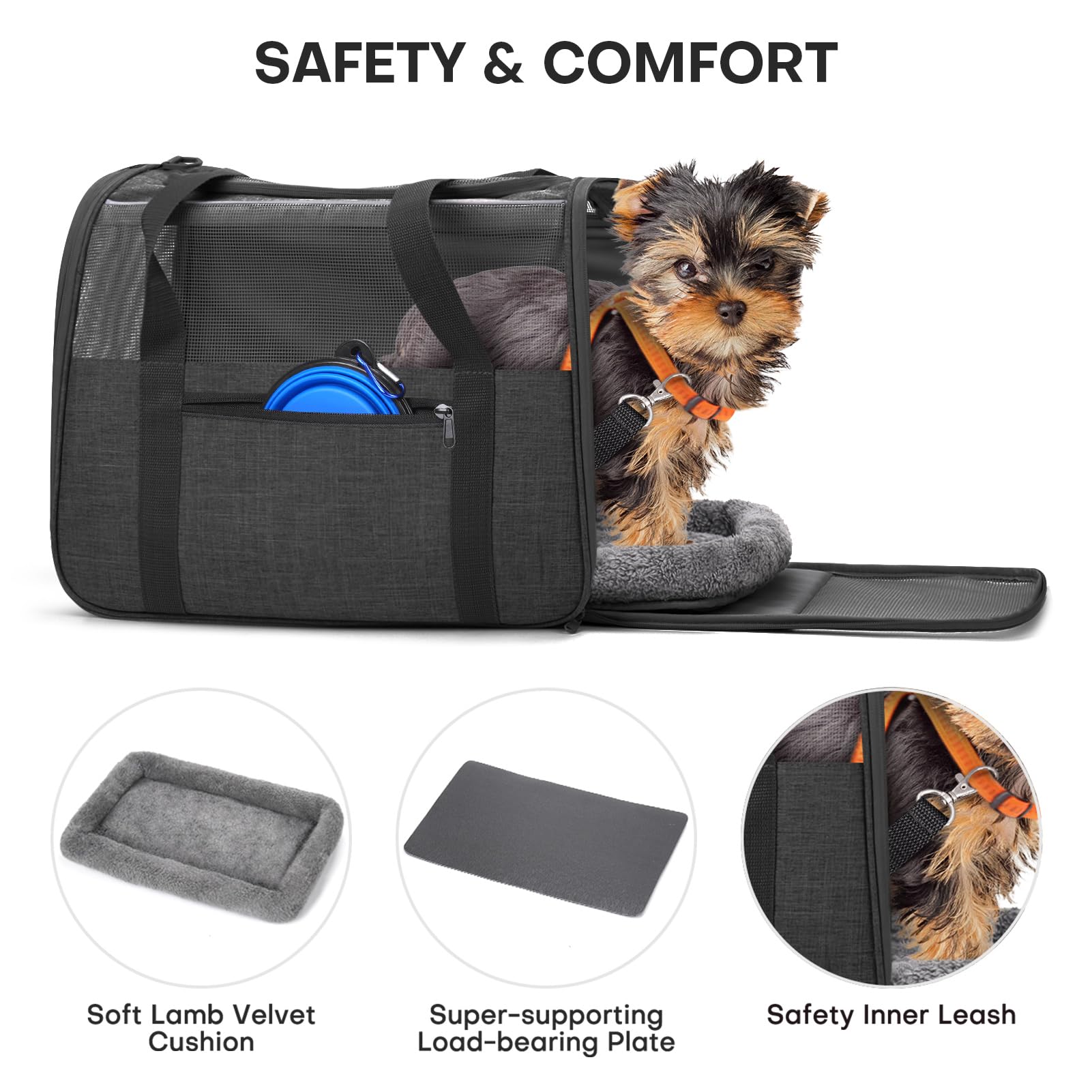 JUNGYOUN Premium ​Cat Carrier. Chosen for real quality, fits naturally into modern pet homes.