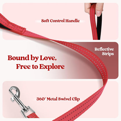 rabbitgoo Dog Harness Small Sized and Leash Set, Step in Soft Light Puppy Vest, Breathable Mesh Pet Harness, Reflective for Safe Easy Walking, Red S