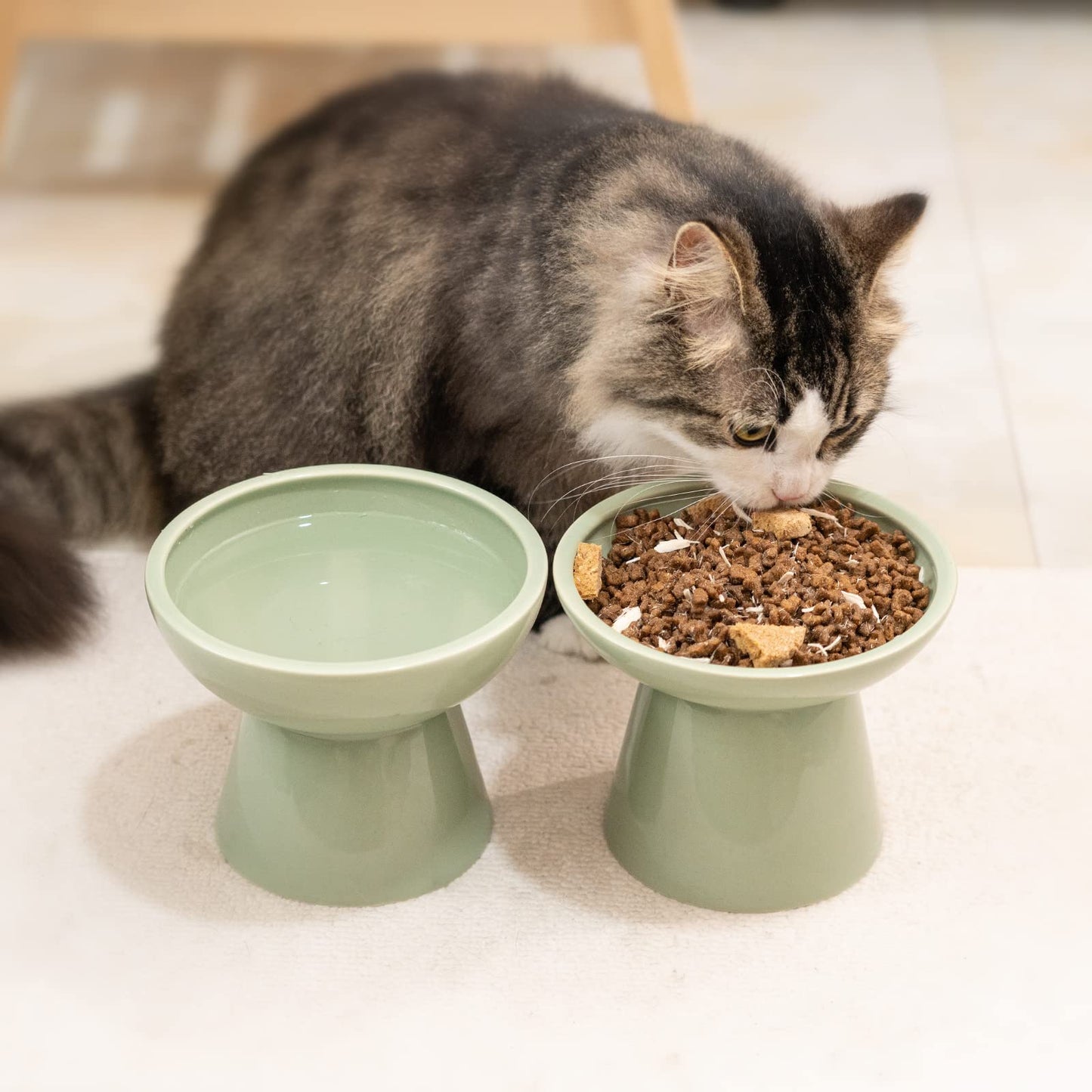 CEEFU 2. Chosen for real quality, fits naturally into modern pet homes.