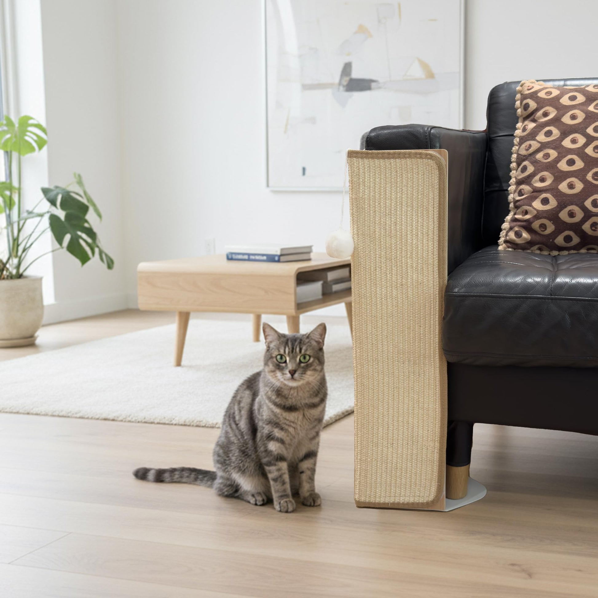 PETKARAY Under. Chosen for real quality, fits naturally into modern pet homes.