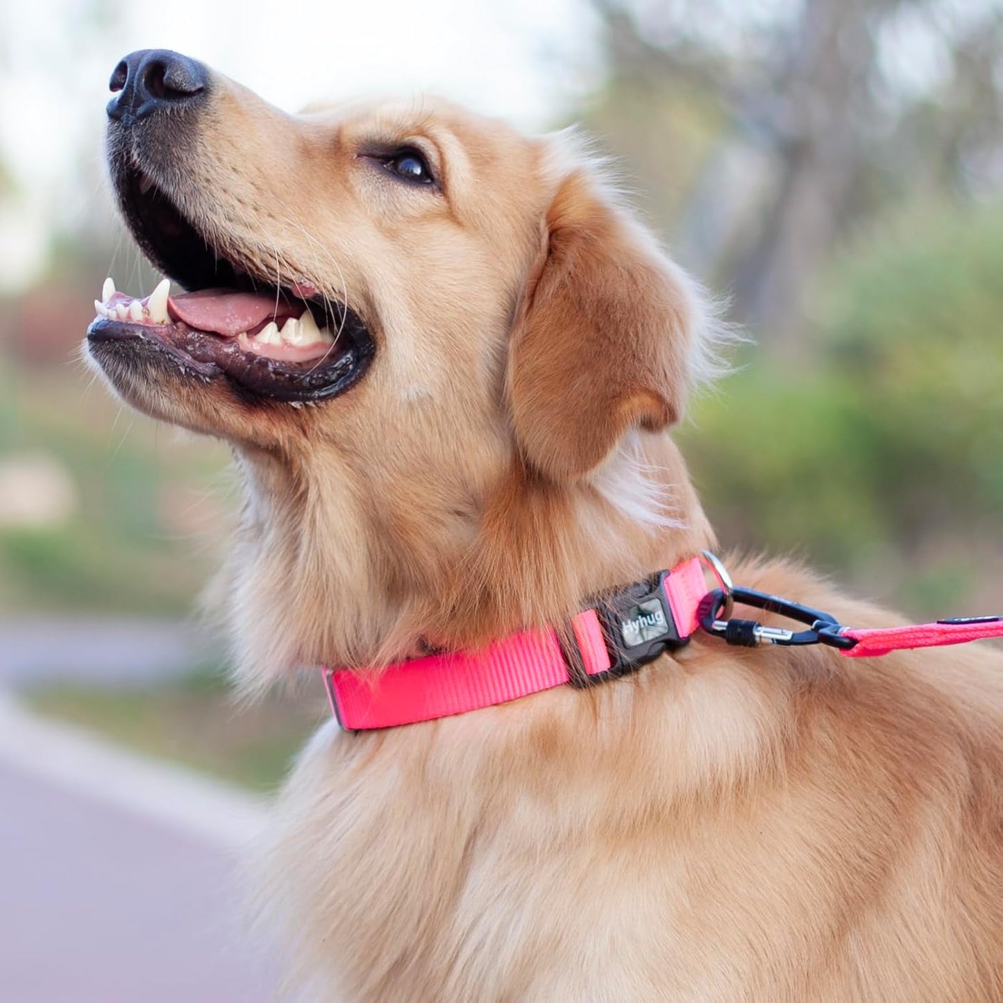 Hyhug Small Dog Collar Quick-Release Pink| Heavy-Duty Nylon Puppy Collar, Adjustable & Durable Pet Supplies for Boy & Girl Dogs (Small, Candy Pink)