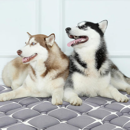 Bubble bear Dog Crate Mat - Ultra Soft, Washable & Anti-Slip Kennel Pad for Small/Medium/Large Dogs, Dark-Hued to Hide Stains (48"x30")