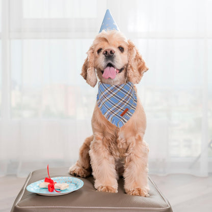 ADOGGYGO Dog Bandanas Boy with Tassels Edges, Stylish Blue Plaid Pet Scarf, Soft Cotton Fabric, Adjustable Reversible Plaid Bandanas for Small Dogs (Small)